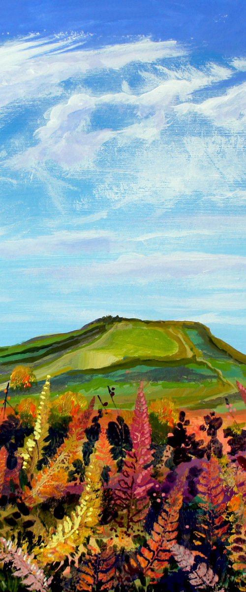 Sugar Loaf, Monmouthshire, Wales by Julia  Rigby