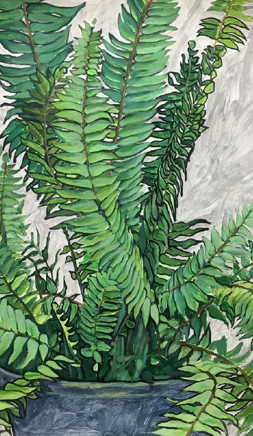Fern by Raffi Ghazaryan