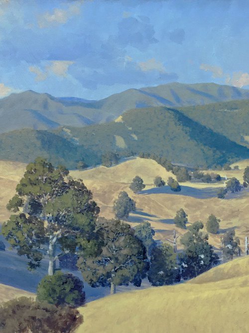 Top of the Megalong Valley by Steve Heyen