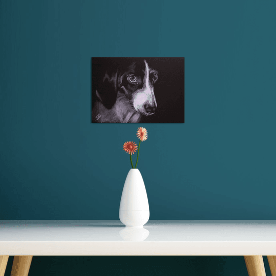 Portrait of dog 2