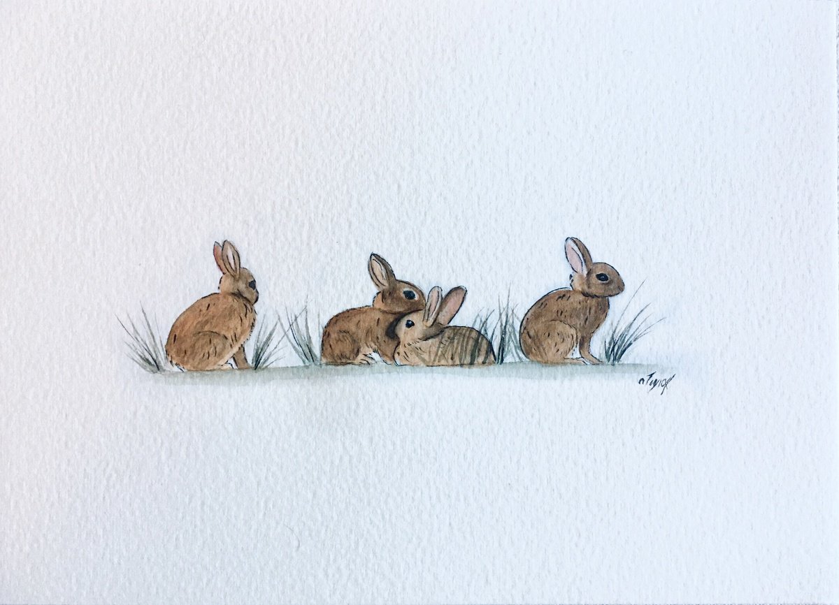 Bunnies by Amelia Taylor