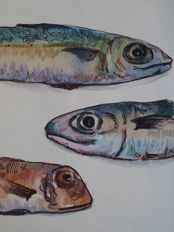 Seafood - original watercolor and ink sketch