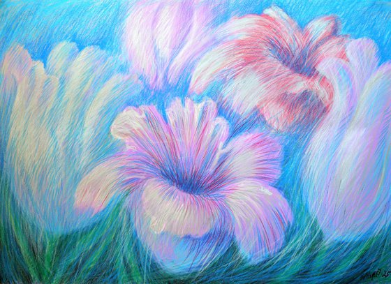 Tulips Purple