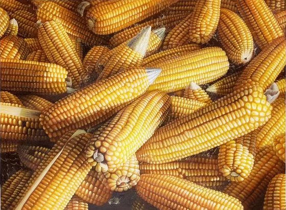 Still life:Corns