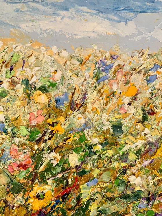 Colorful flowers field