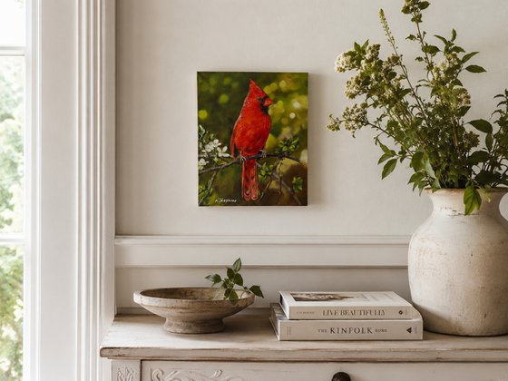 Red Cardinal