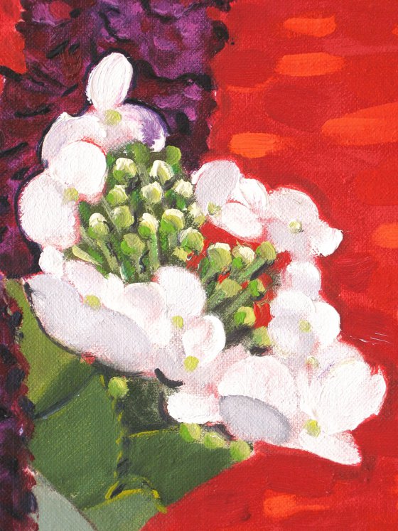 Buddleia and Hydrangea