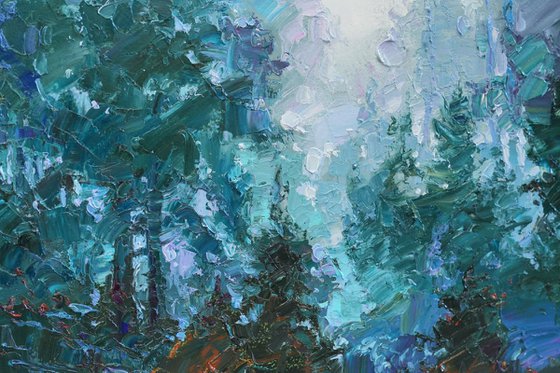 Foggy forest
