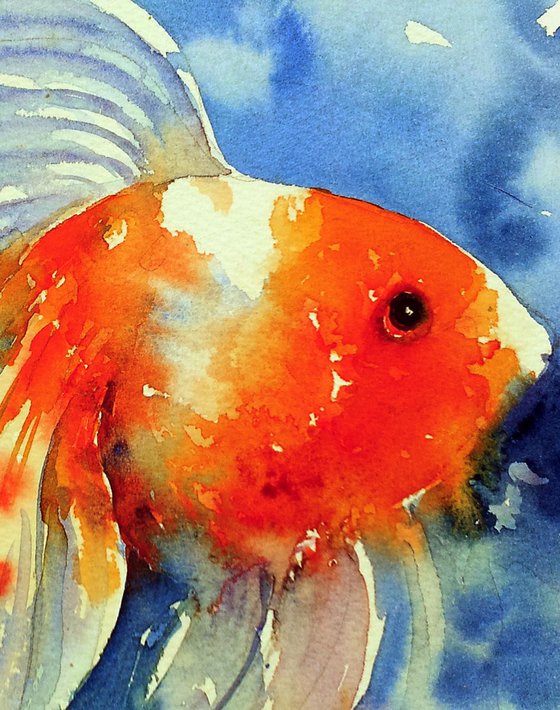Red Gold Fish