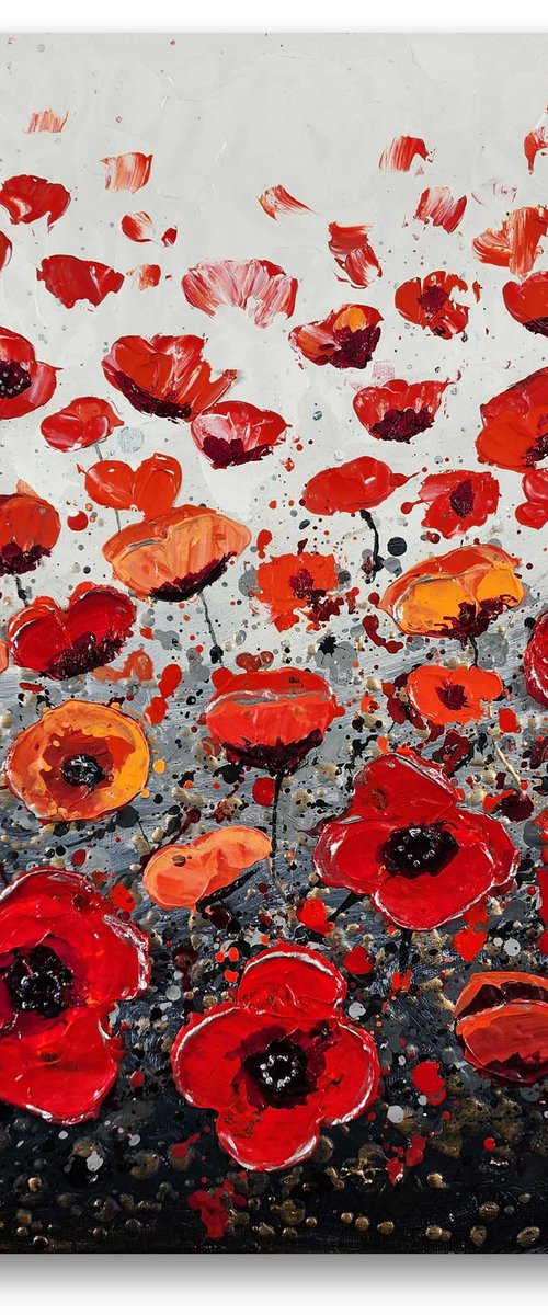 Poppy Wish by Amanda Dagg