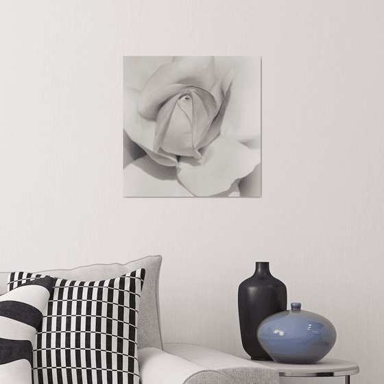 Layers of Beauty - studio edition