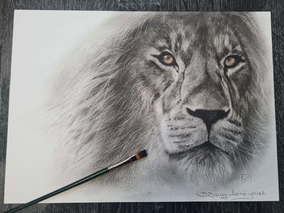 Oil painting reasilm realistic on paper Lion