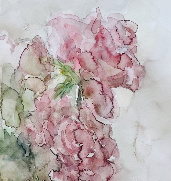 Peonies 50x65 cm 2025