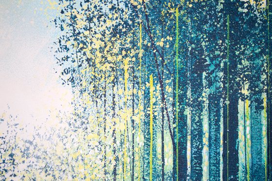 Summer Forest Trees