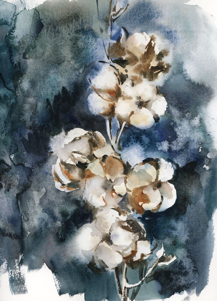Cotton Flowers by Sophie Rodionov