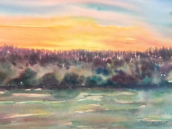 Slowley woods sunset, Exmoor