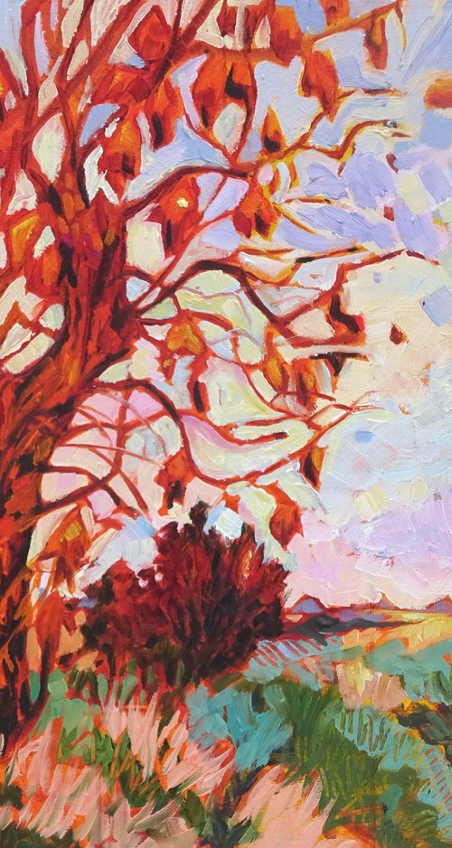 Ash Tree at Sunrise - Derbyshire Landscape by Mary Kemp