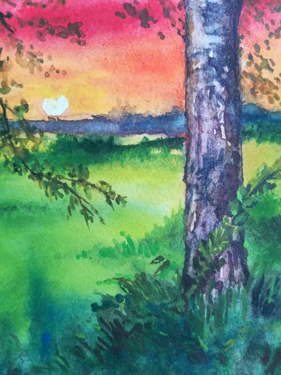 Summer Sunset Over the Meadow and Birch Trees