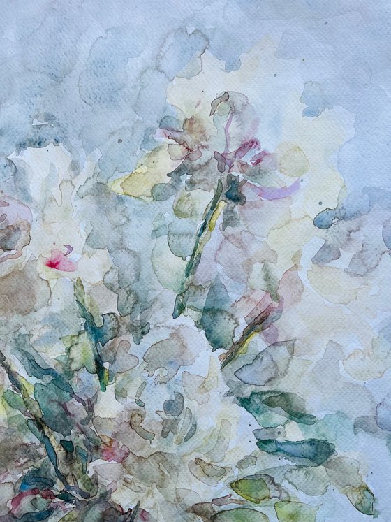 Peonies 50x65cm 2025