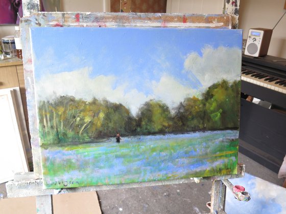 Bluebell Wood