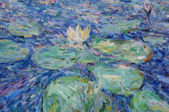 "Water Lilies "