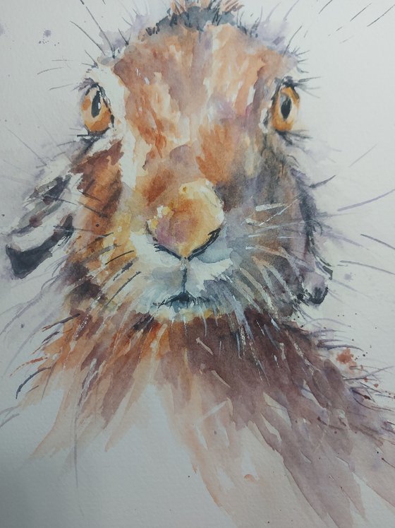 Hare in Watercolour