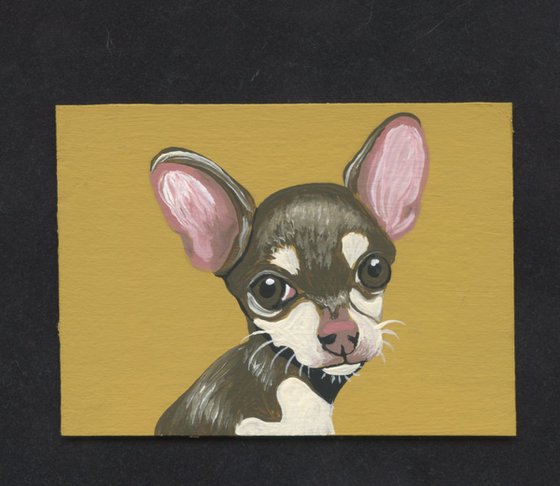 ACEO ATC Original Miniature Painting Chihuahua Pet Dog Art-Carla Smale