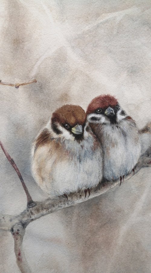 Warm Together - Pair of Sparro by Olga Beliaeva Watercolour