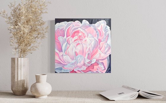 Pink peony