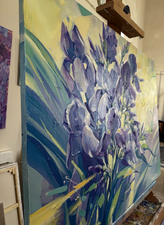 Irises in the Sunshine