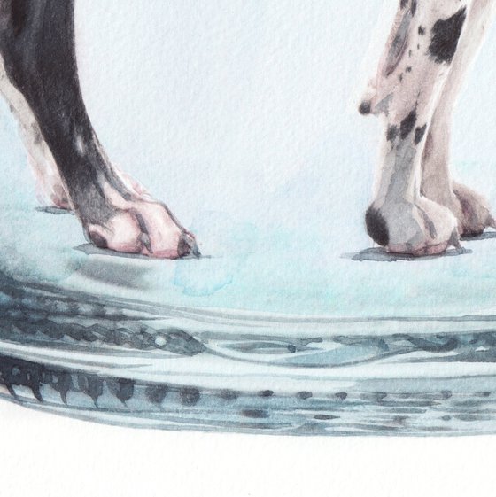 Great Dane in Jar III