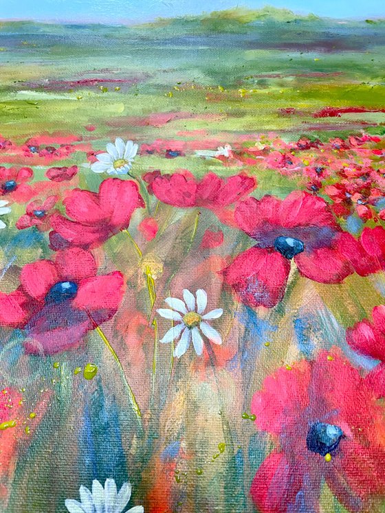 Poppy Fields