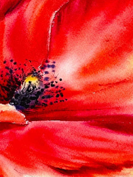 Poppies Watercolor Painting