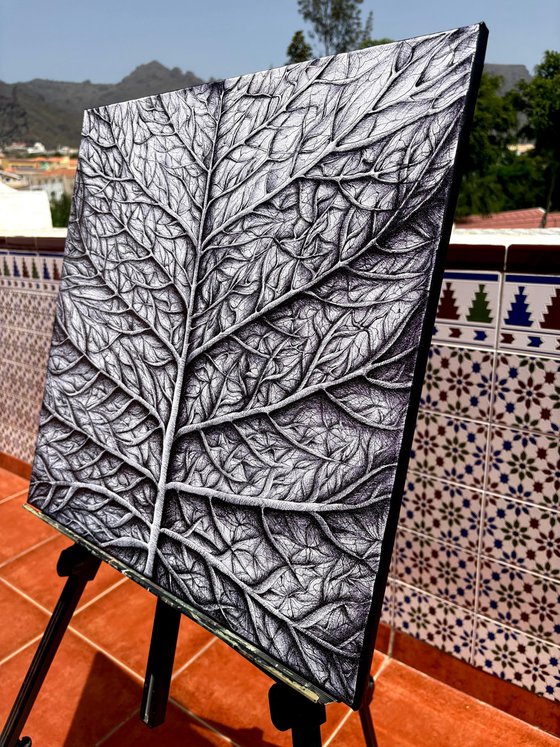 THE LIFE OF A LEAF