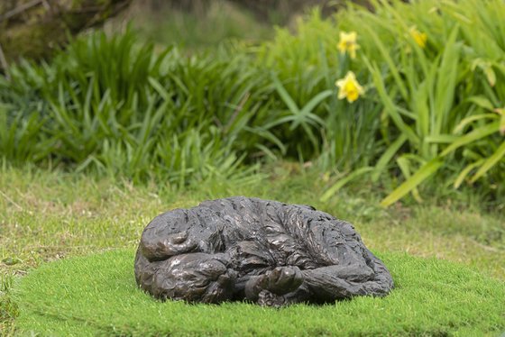Curled Cat (BR sculpture)