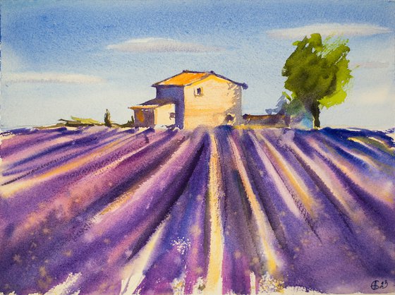 Lavender field in Provence. Medium watercolor pastel drawing bright colors France