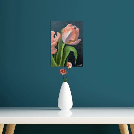 Coral tulips 4
