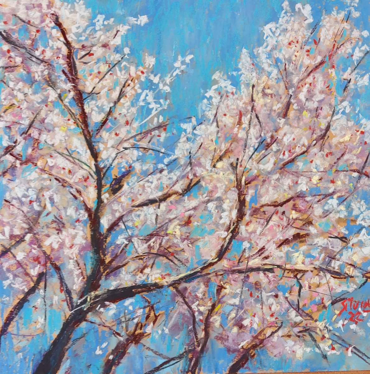 Almond blossom. by Silvia Flores Vitiello