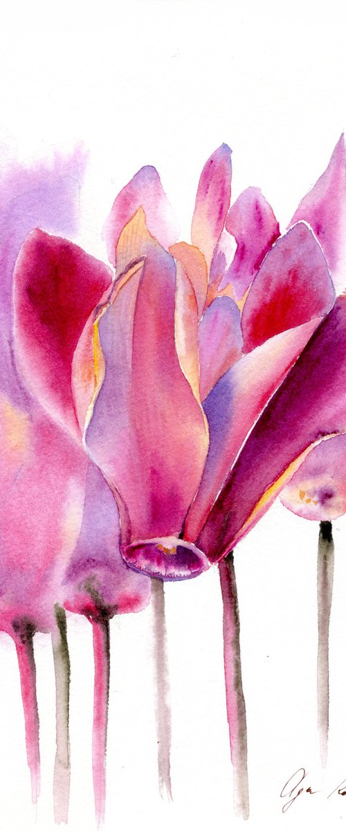 Pink Cyclamen Abstract by Olga Koelsch