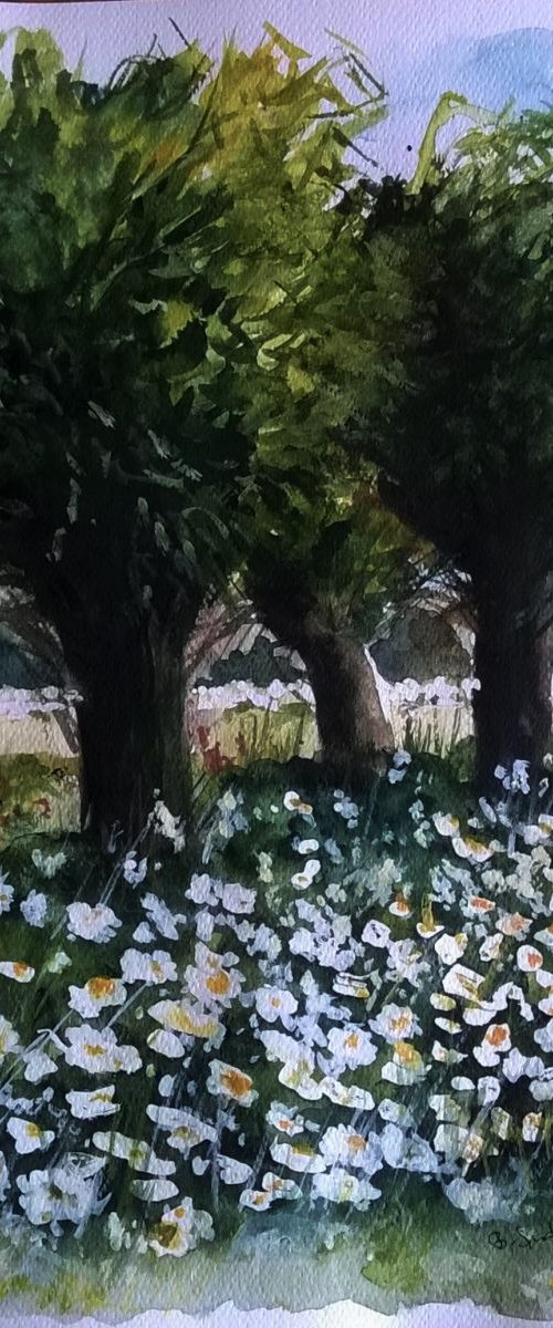 The Meadow of Daisy by Beta Sudnikowicz