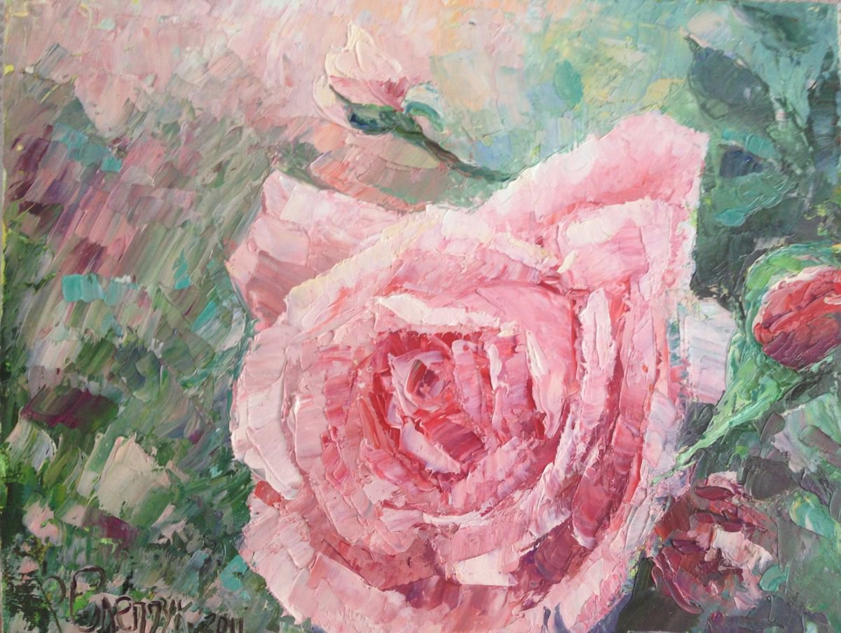 rose in the garden by Roman Sleptsuk