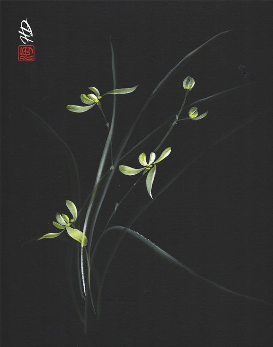 Moonlit Orchid