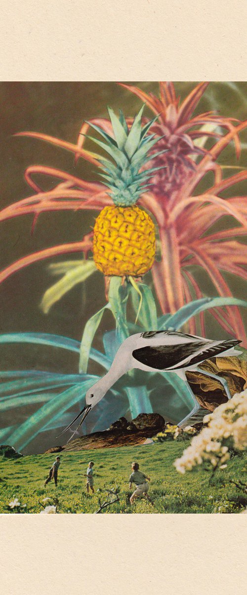 Summer ’68 by Jon Garbet