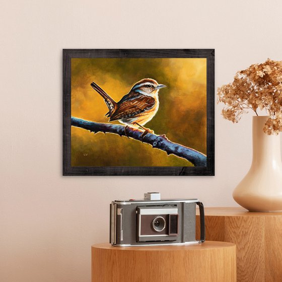 Carolina wren bird at sunset