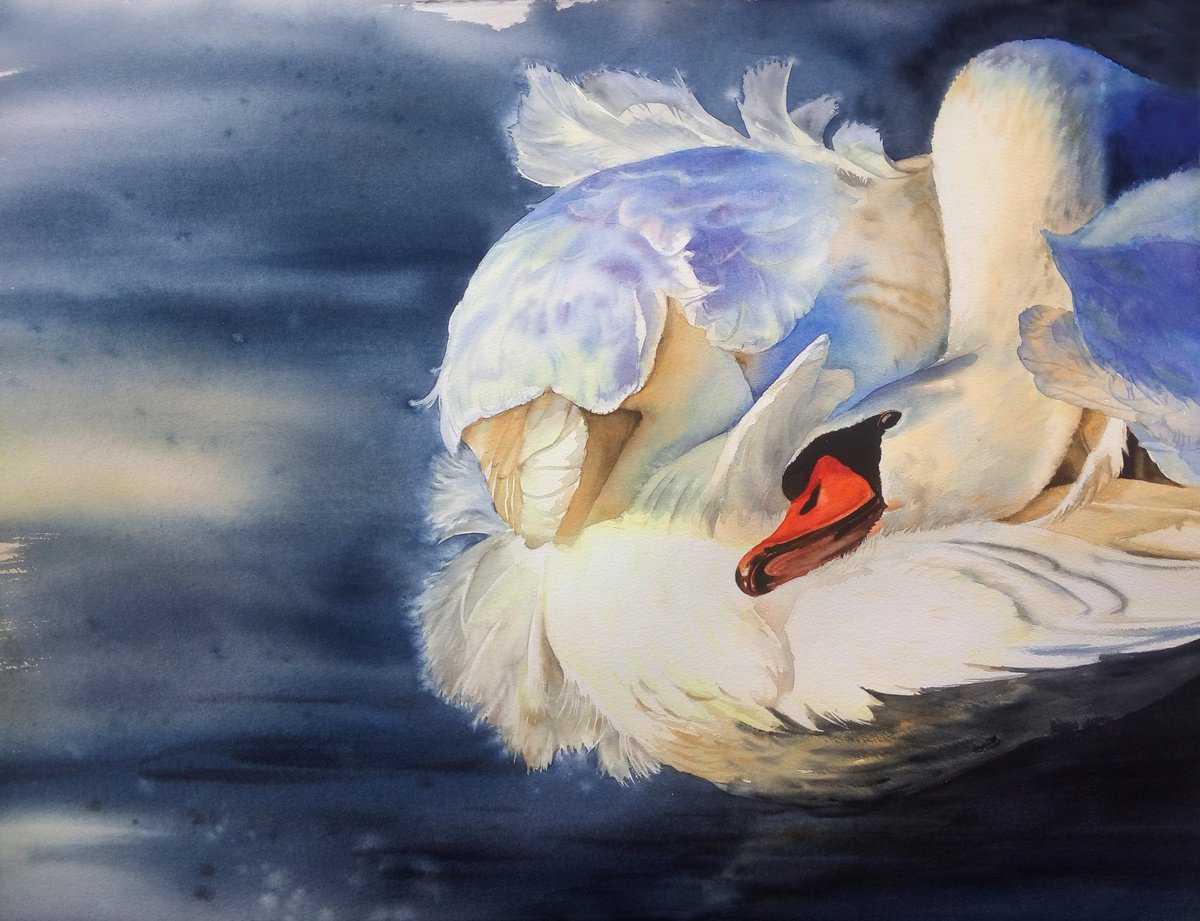 Swan Fidelity - white swan painting - swan lake - swan watercolor - swan watercolour by Olga Beliaeva Watercolour