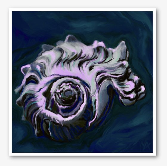 VOYAGE- a digital abstract sea shell snail shell painting, giclee print, different sizes