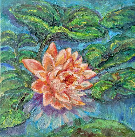 Pink Lotus