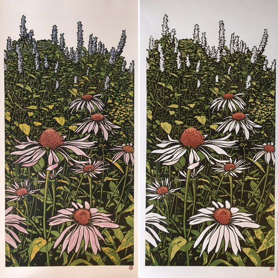 Echinacea and Agastache (version 2) - large.