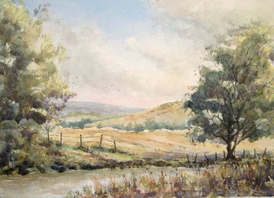 Near Two Bridges Dartmoor