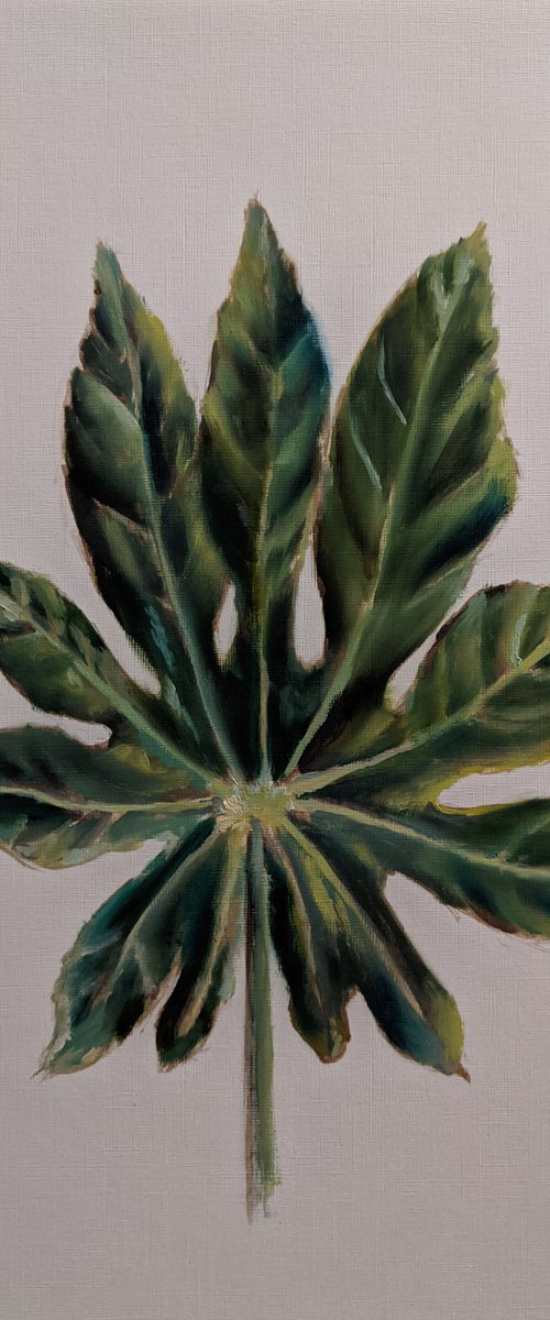 Fig Leaf: Original Oil Painting Original oil painting of the green fig leaf on the white background Painting by Anna Brazhnikova by Anna Brazhnikova